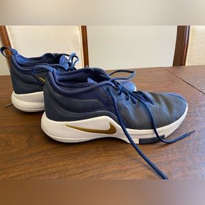 Nike Men's LeBron Witness 2 'Midnight Navy' Blue/Gold Sz 11 942518-423